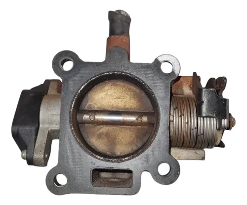 Tbi Corpo Borboleta ...